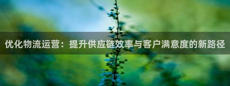 门徒娱乐下载手机版