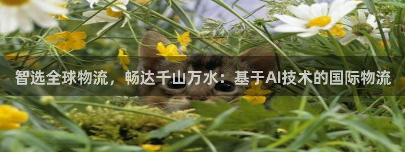 门徒娱乐系究7276O