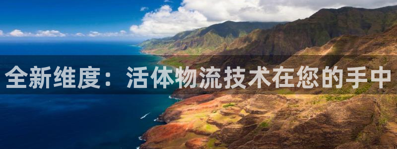 门徒六娱乐