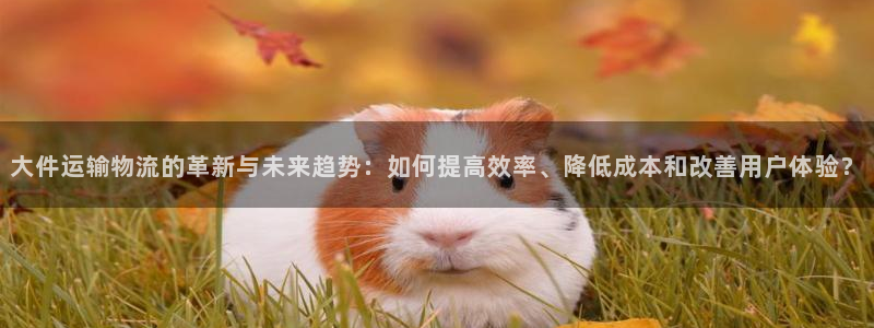 门徒娱乐登录入口