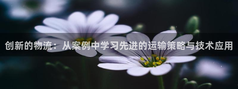 门徒娱乐日5指尖