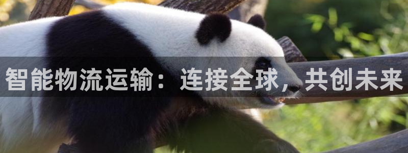 门徒娱乐代理注册官网