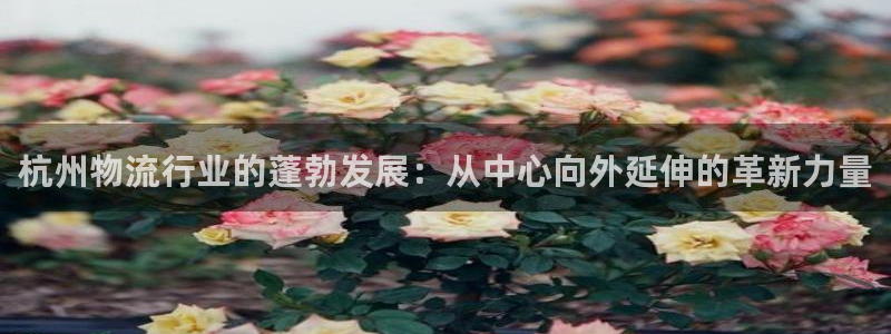 门徒娱乐平台信誉怎样